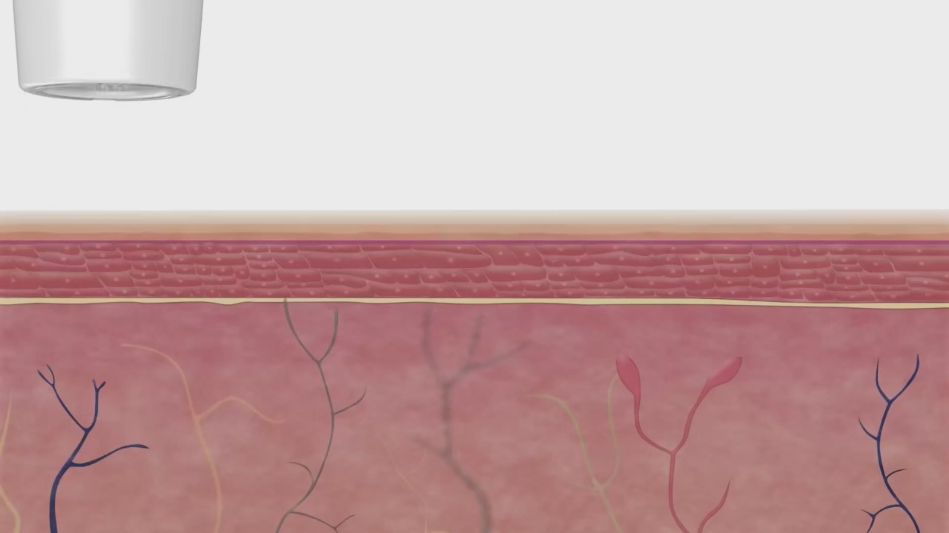 Charger la vidéo : 